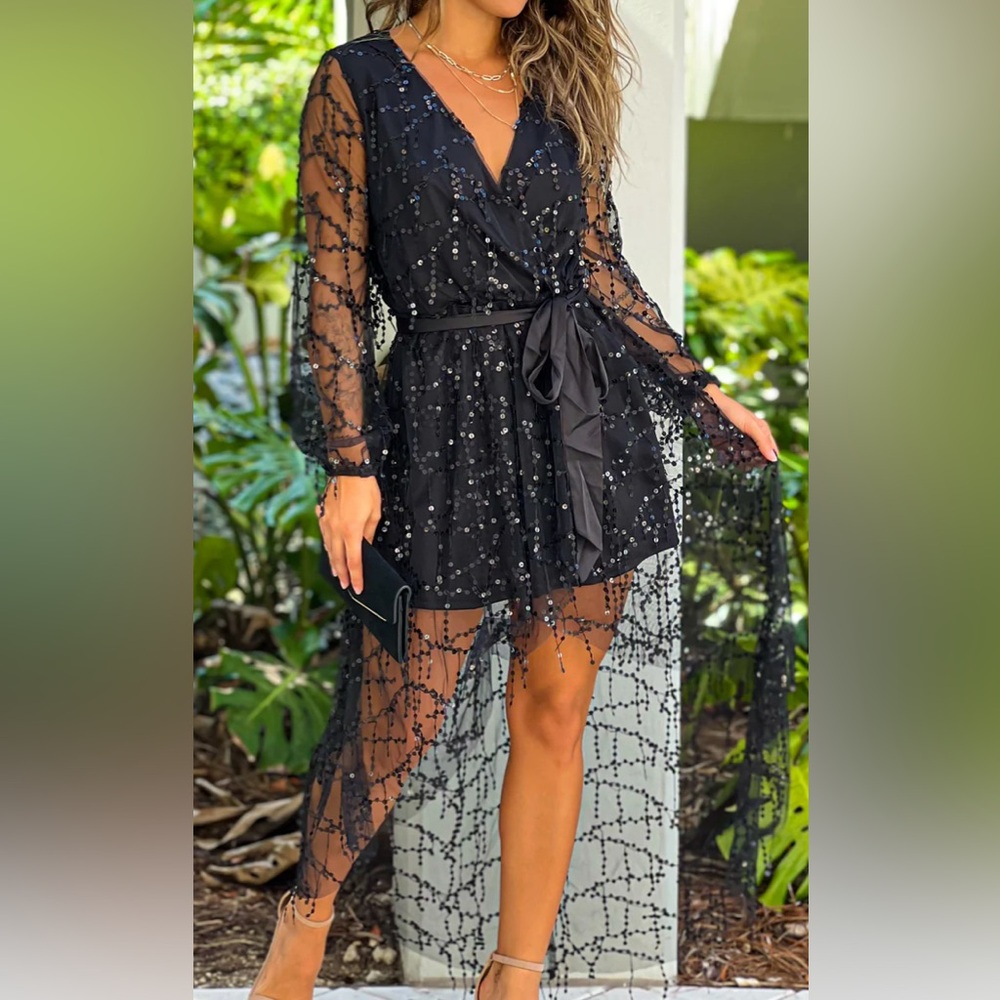 Elegant Black Sheer Overlay Mini Dress